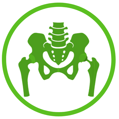 Total Hip Replacement